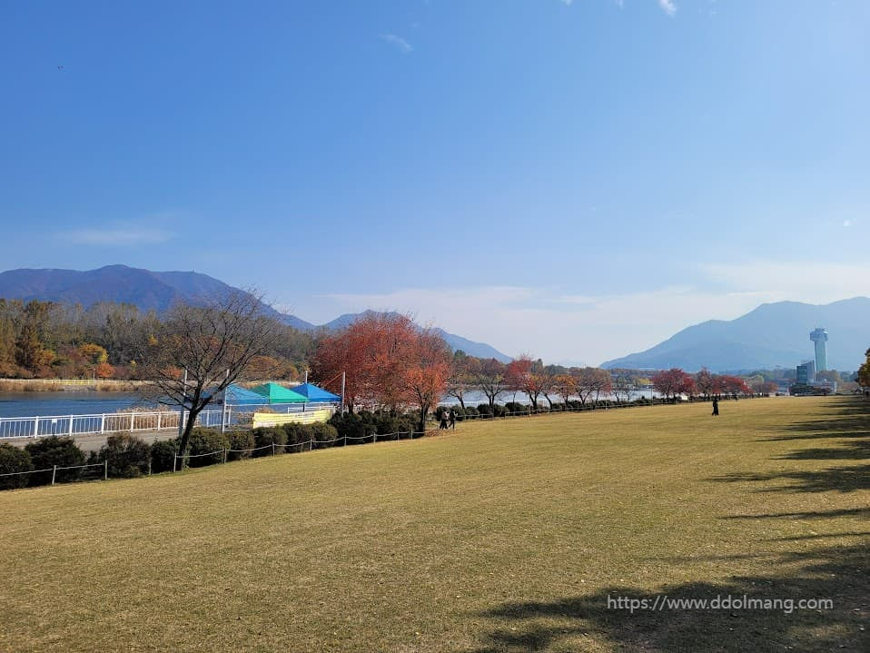 드넓은 잔디밭과 단풍으로 물든 나무. 멀리 보이는 유니온타워