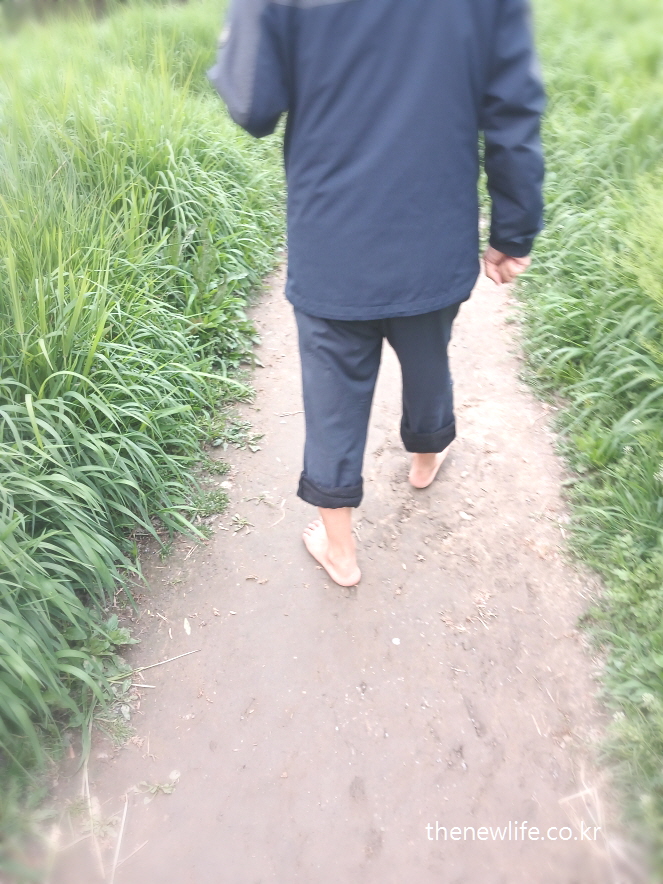 A man walking barefoot on a dirt path at Yeouido Saetgang Ecological Park-여의도 샛강생태공원의 흙길에서 맨발 걷기 중인 남성의 모습