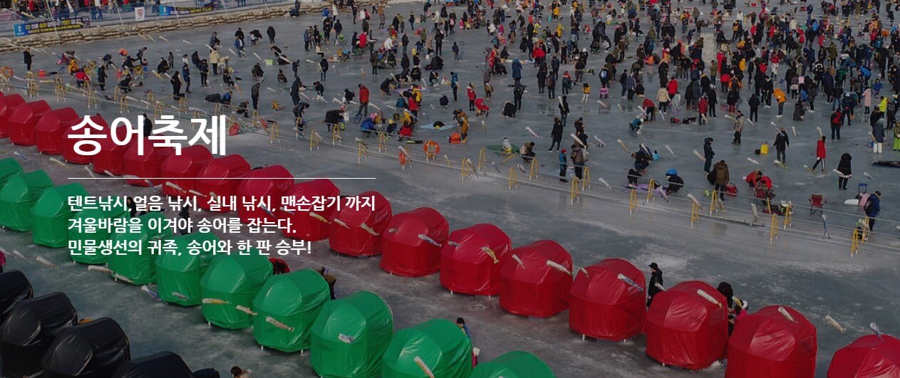 강원도지역축제-평창송어축제