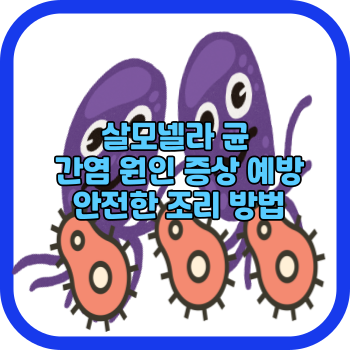 살모넬라 균 간염 원인 증상 예방 안전한 조리 방법