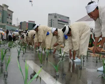 금산 인삼축제_25