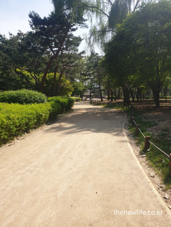 Barefoot walking trail at Amsa Prehistoric Site surrounded by trees and soft sunlight-나무와 햇살로 둘러싸인 암사 선사 유적지의 맨발 걷기용 흙길