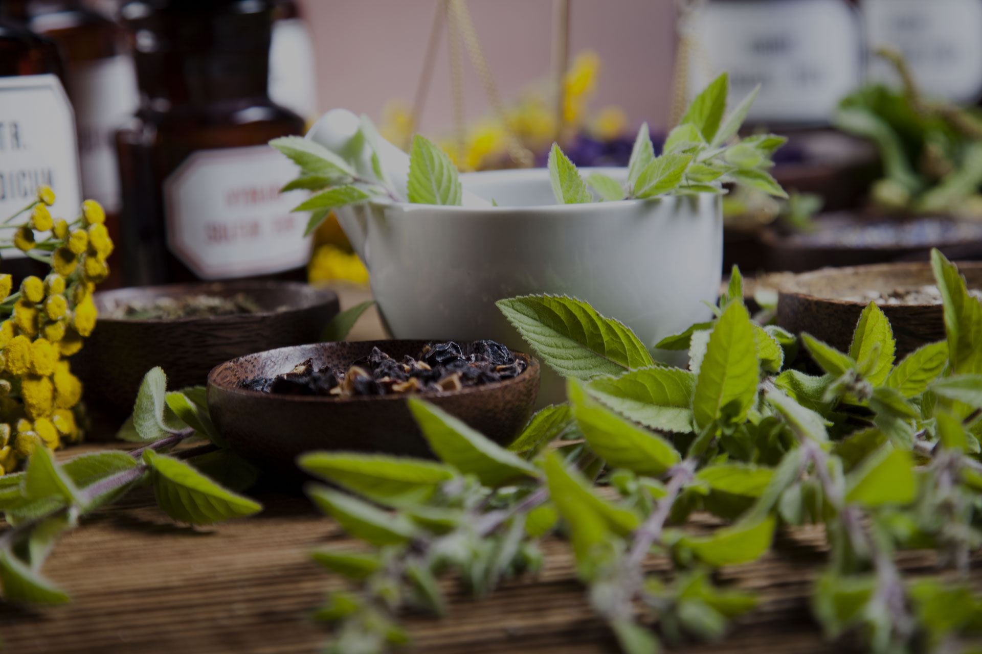 공진단 효능, 복용법, 부작용 및 가격 총정리