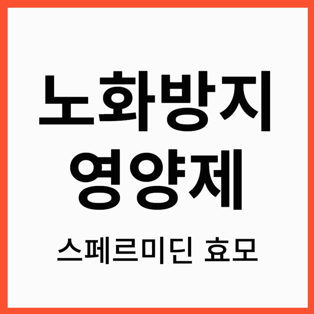 저속노화를 위해 , 노화방지 영양제 추천