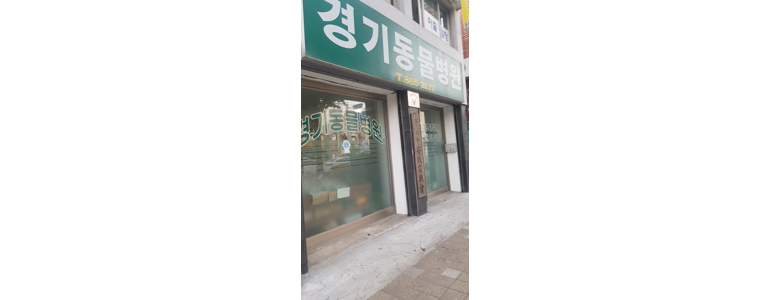 동두천시 동물병원