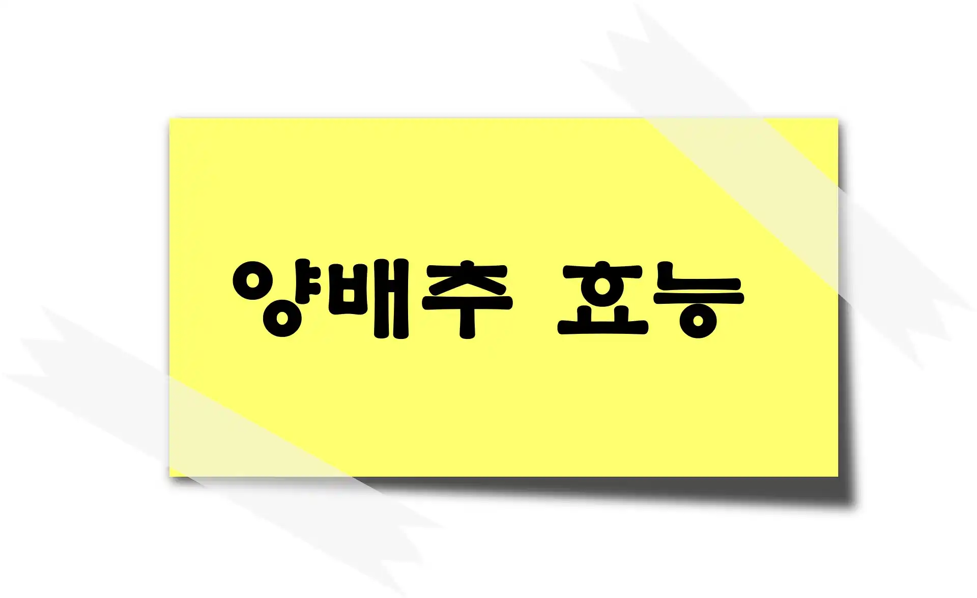 양배추 효능