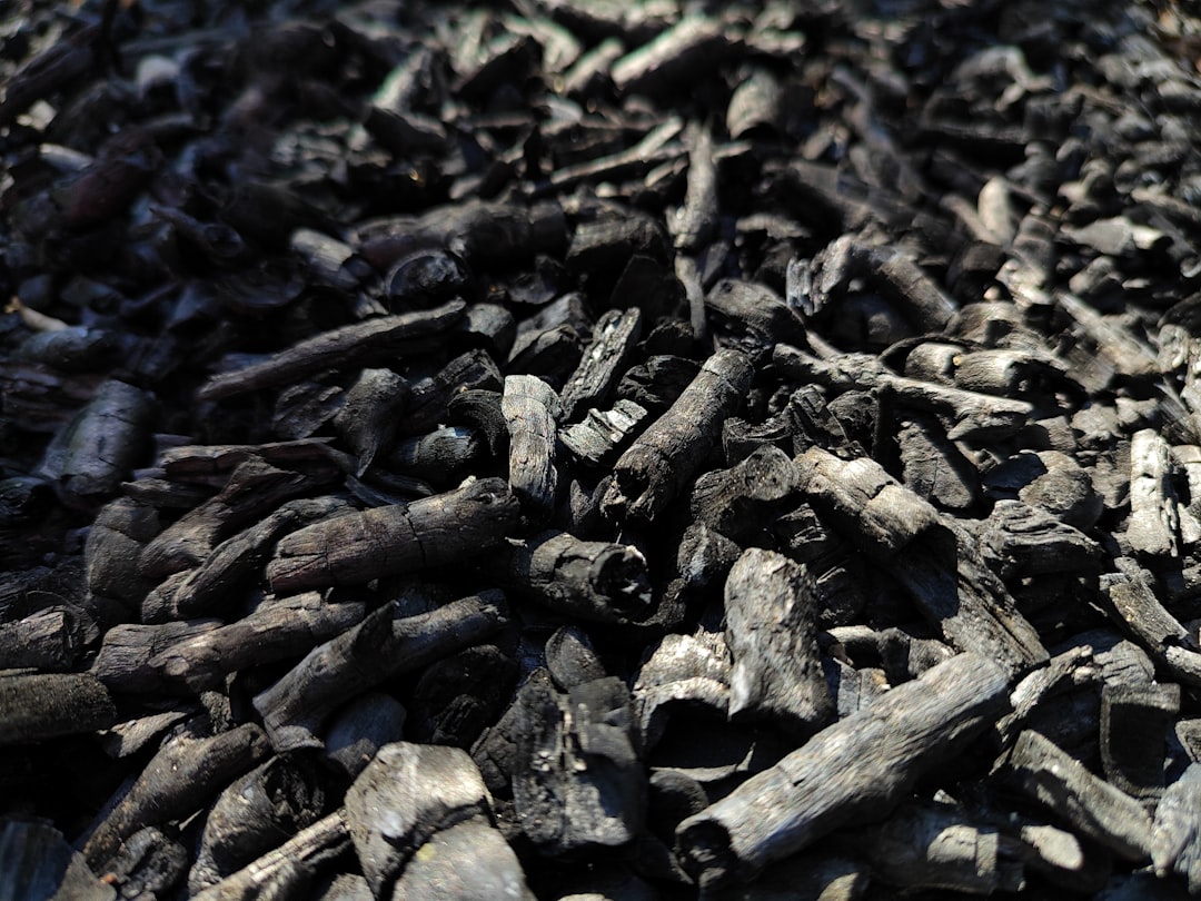 Charcoal