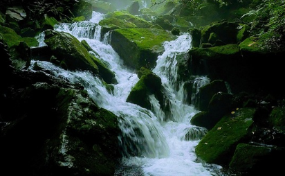 강원도 평창 화양동 계곡 : 자연 속 평화로운 힐링 여행