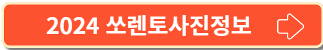 2024 쏘렌토하이브리드의 더 많은 사진정보
