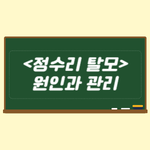 정수리 탈모의 원인과 관리 방법 총정리