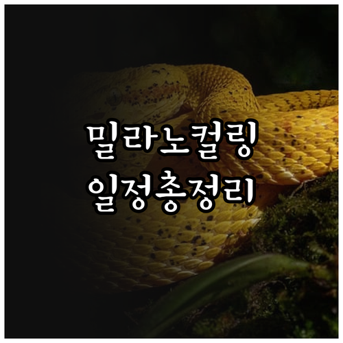 2026 밀라노 동계올림픽 컬링 믹스..