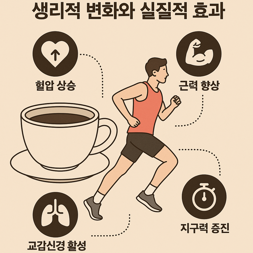 카페인 섭취가 인체에 미치는 생리적 변화(혈압상승,근력향상,교감신경활성,지구력증진)를 그림으로 한눈에 볼수있게 함