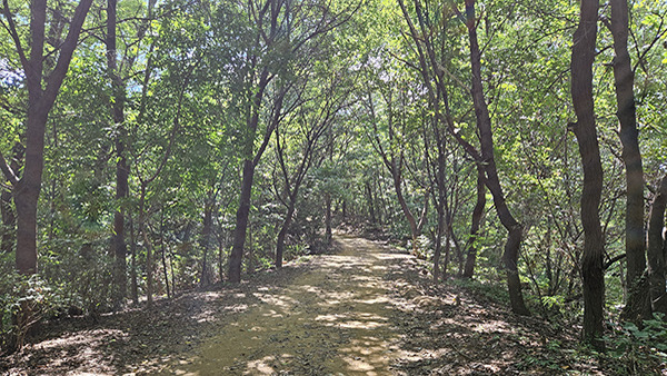 일지산