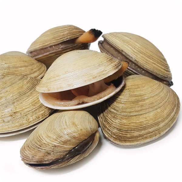 칼륨이-많은-음식