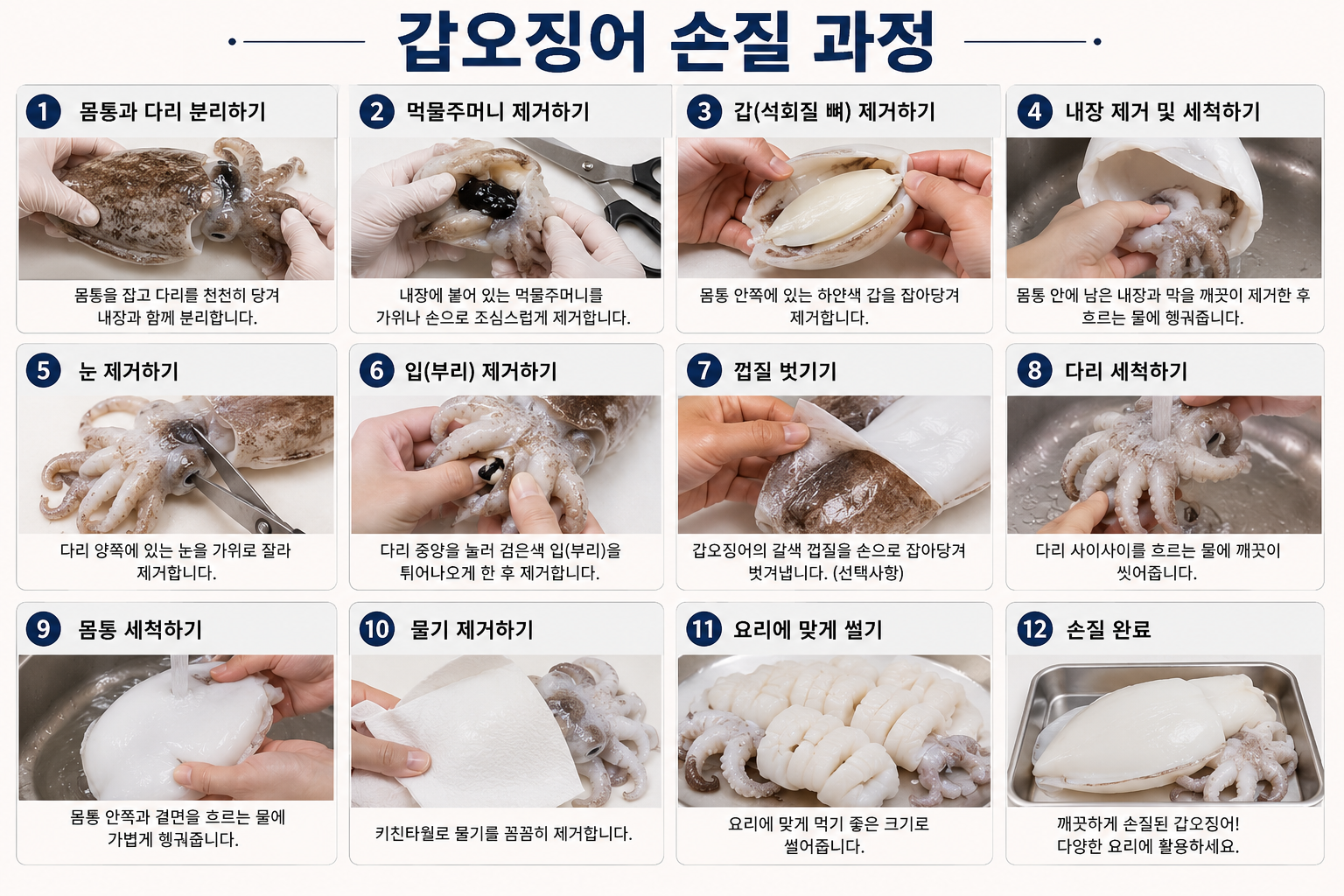 갑오징어 손질과정
