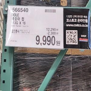 코스트코 광명점 할인