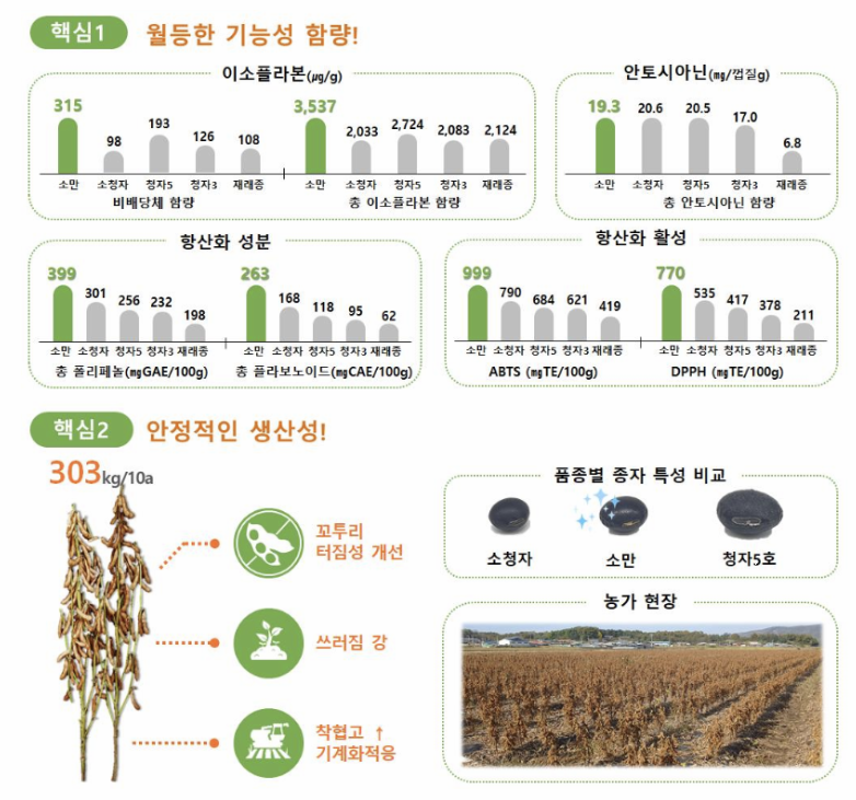 소만콩의 항산화 및 항암 성분 이미지