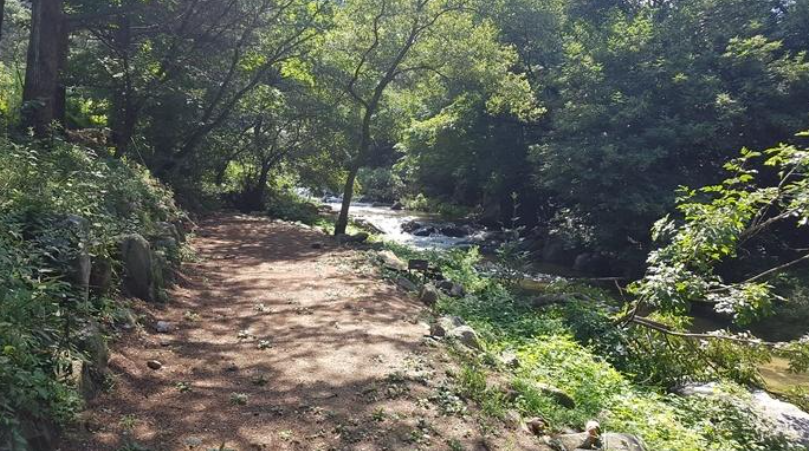경기-가평-물골숲계곡-캠핑장-사진-입니다.