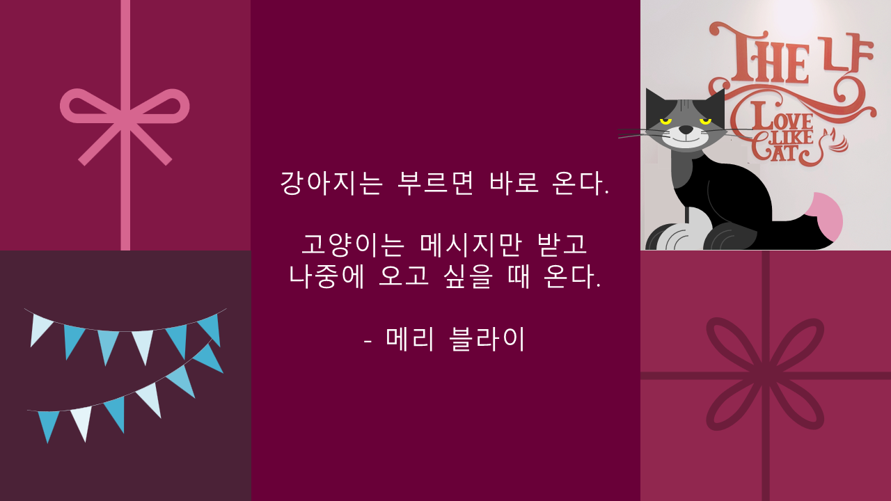 고양이는 메시지만 받고 나중에 오고 싶을 때 온다