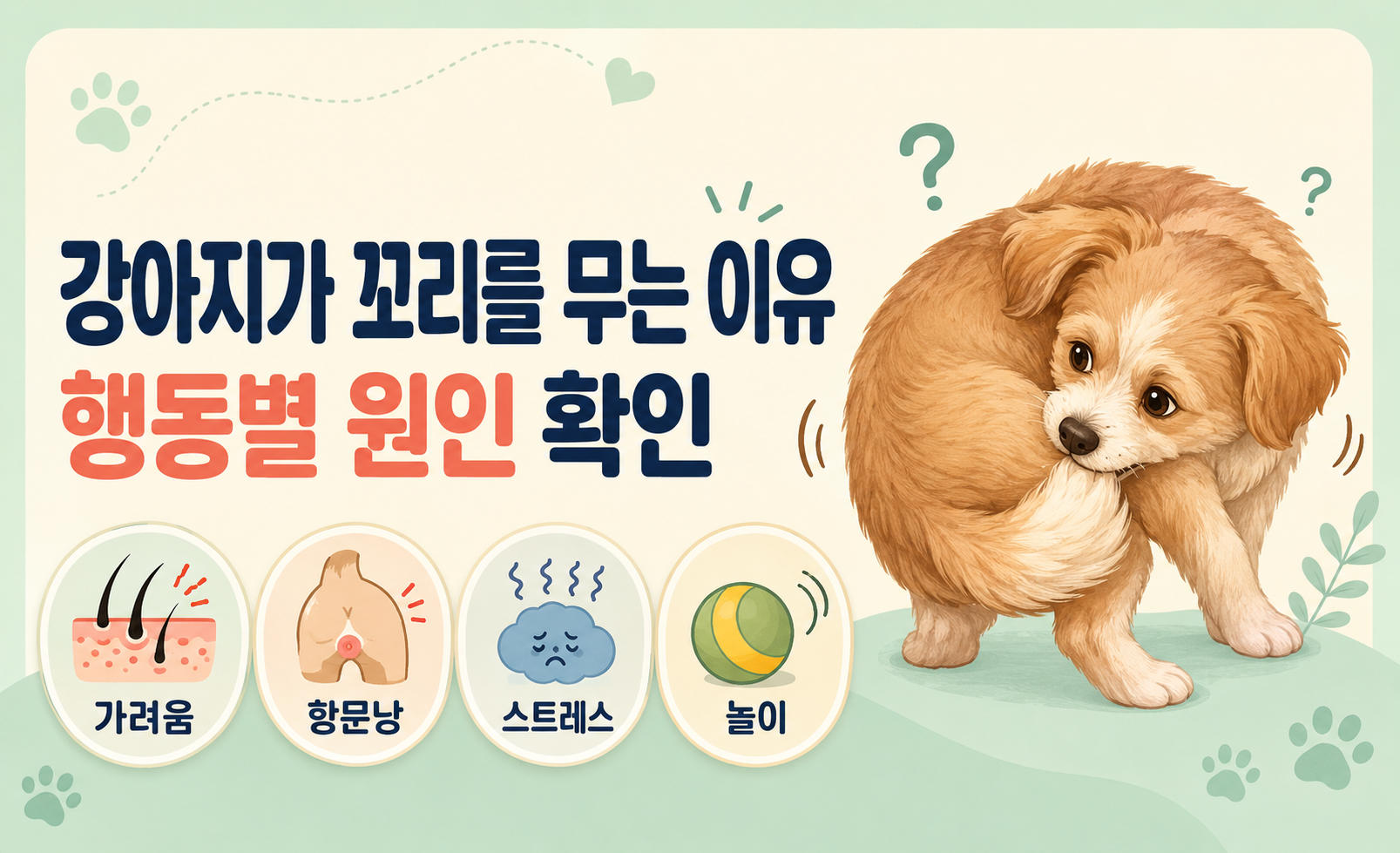 강아지가 꼬리를 무는 이유와 가려움, 항문낭 문제, 스트레스, 놀이 행동 원인을 설명하는 대표 이미지