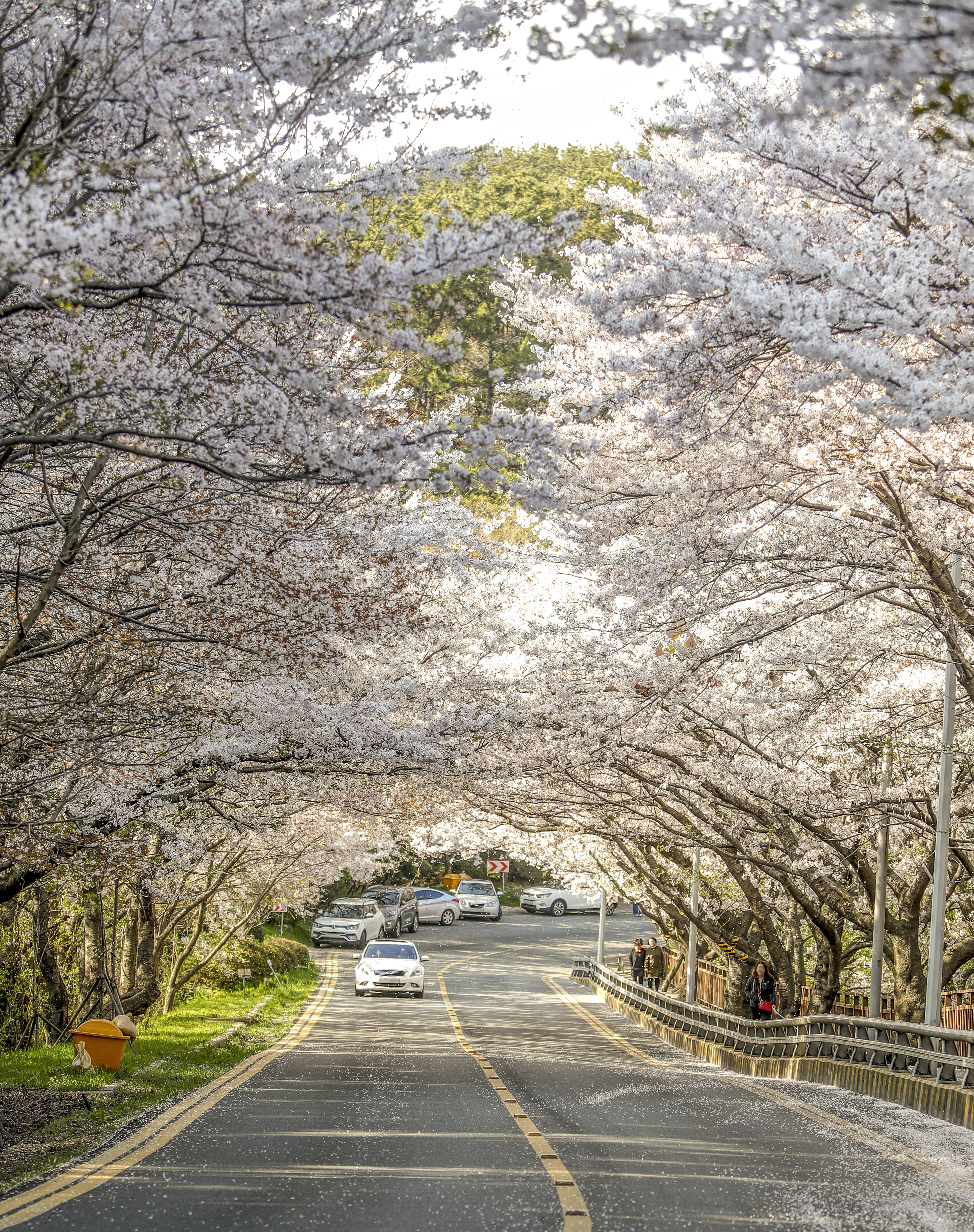 해운대달맞이길