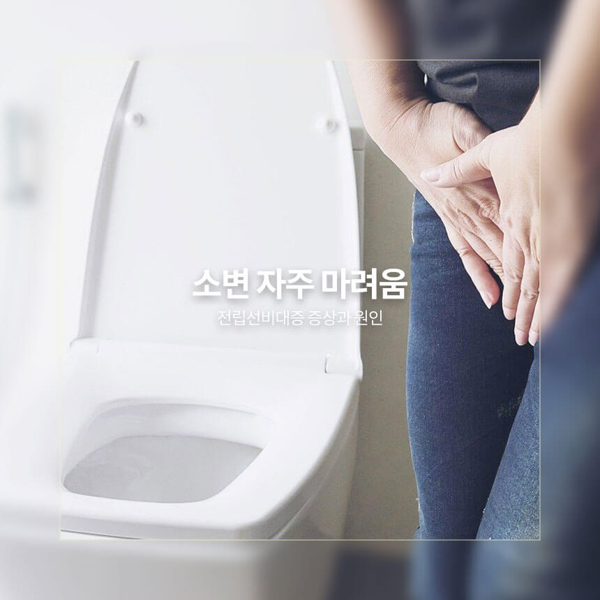 소변 자주 마려움, 전립선비대증 증상과 원인, 소변이 자주 마려운 이유
