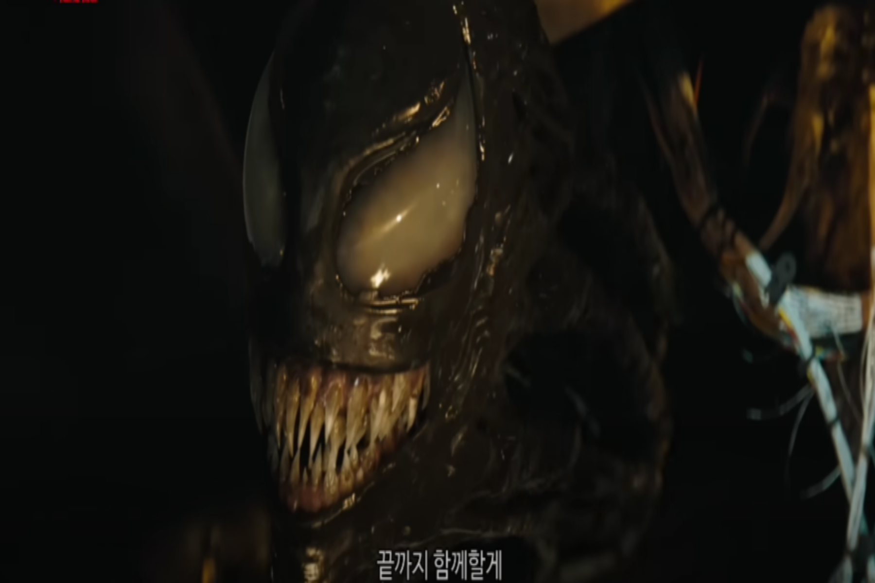 베놈3 라스트 댄스 후기 쿠키 영상 스틸컷5