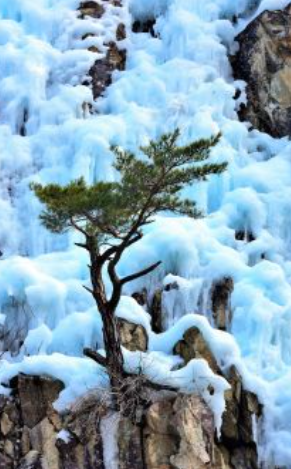 청송-가볼만한곳