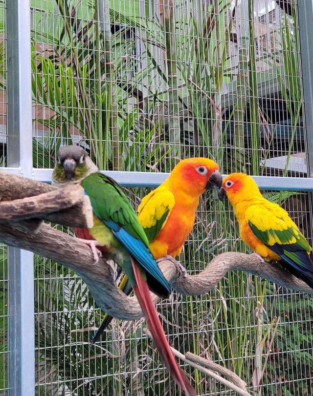 오산 가볼만한곳 - 오산버드파크