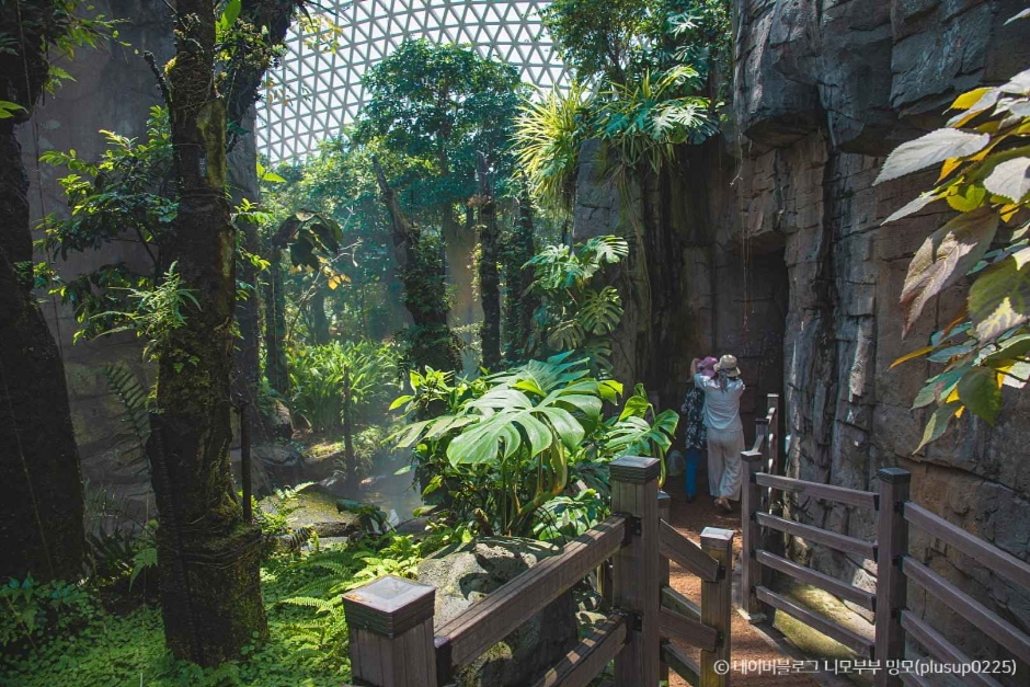 거제도 가볼만한곳 베스트10