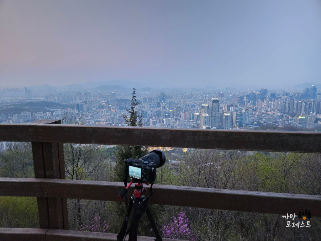 우면산 출사