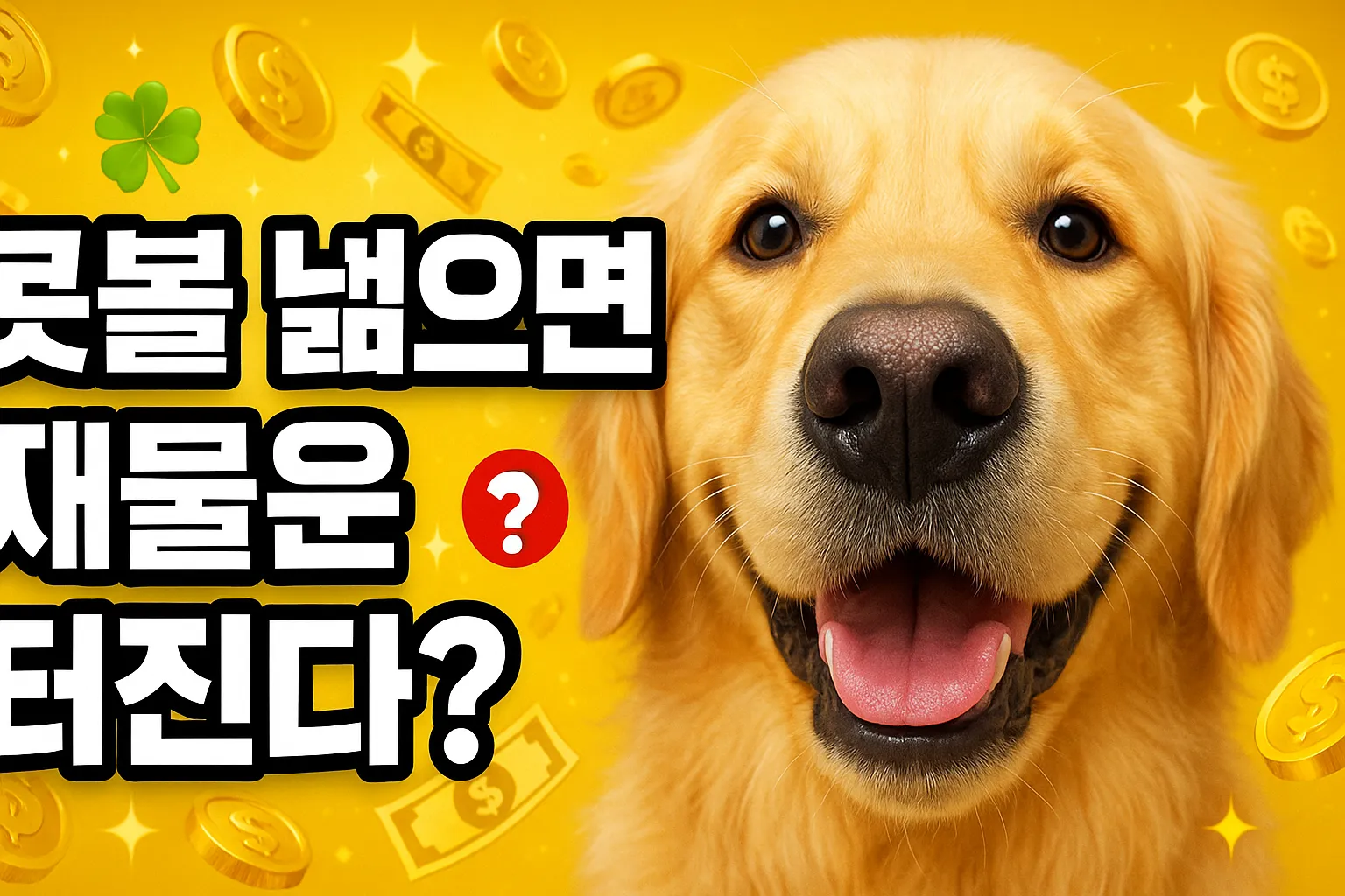 콧볼 넓으면 재물운 터진다? 2025년 관상학 완벽정리