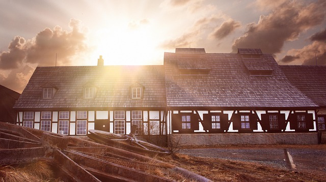 당근마켓 중고나라