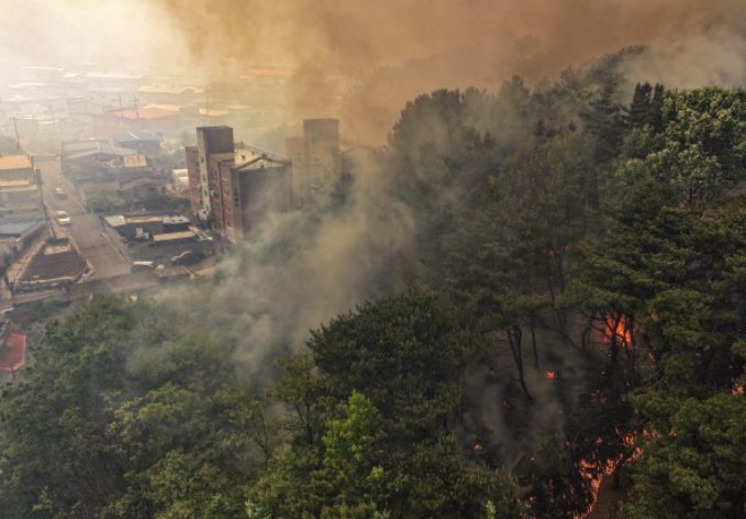 대구 산불 실시간 현황 산불지도