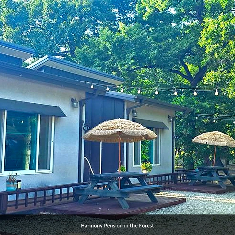 Harmony Pension in the Forest_7