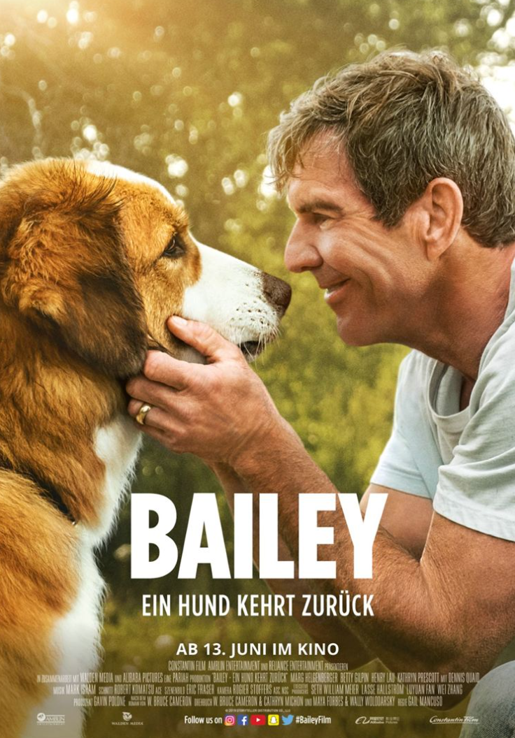 베일리 어게인(A Dog's Purpose)포스터