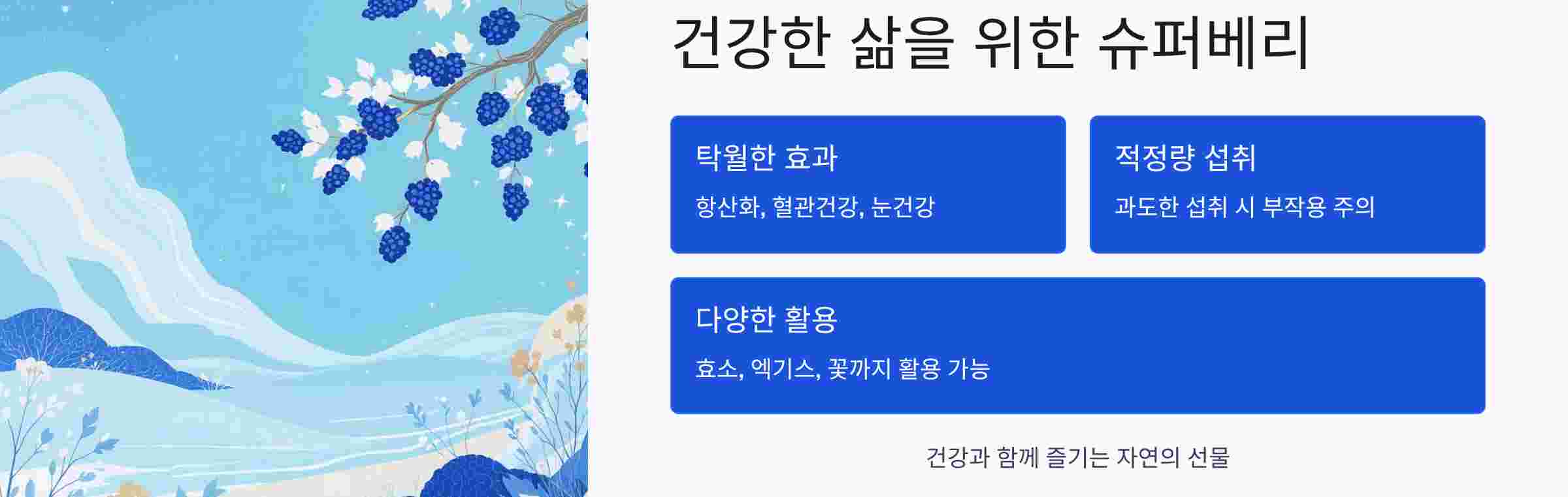 아로니아효소-결론