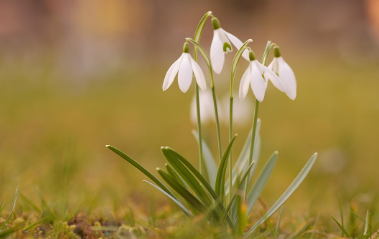 화담숲-예약하기