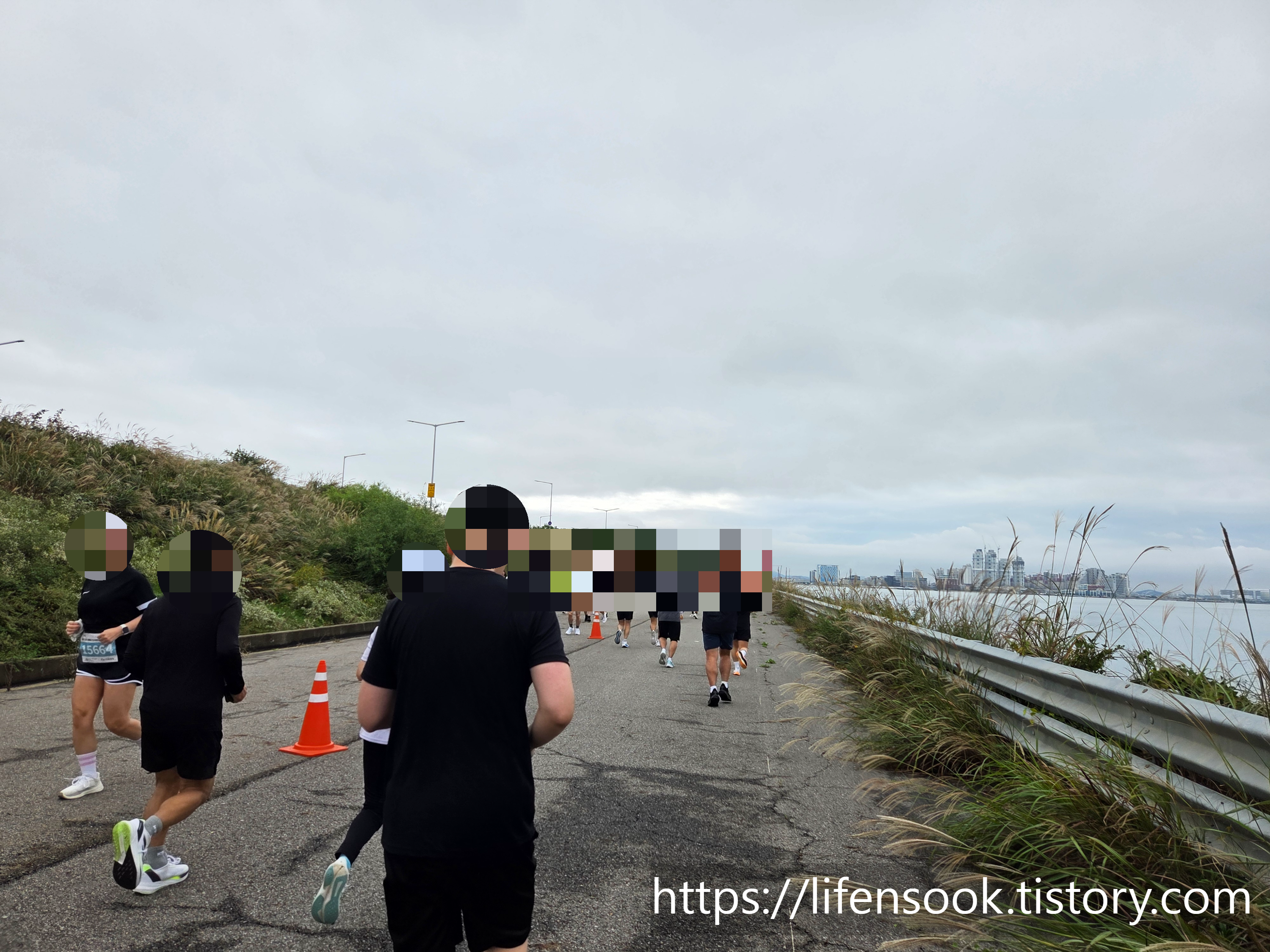 10km 코스를 달리는 참가자들