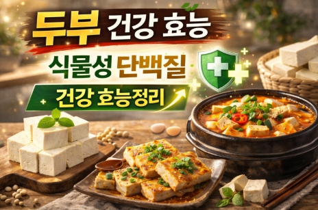 두부 식물성 단백질 영양 건강효능