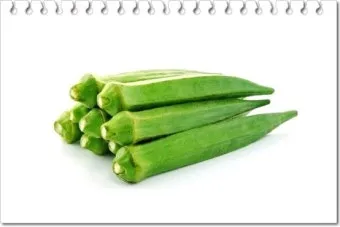 오크라 효능 재배법 손질 수확 요리 보관까지 한눈에 보기_6