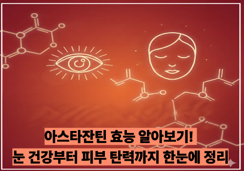 아스타잔틴 효능 알아보기! 눈 건강부터 피부 탄력까지 한눈에 정리