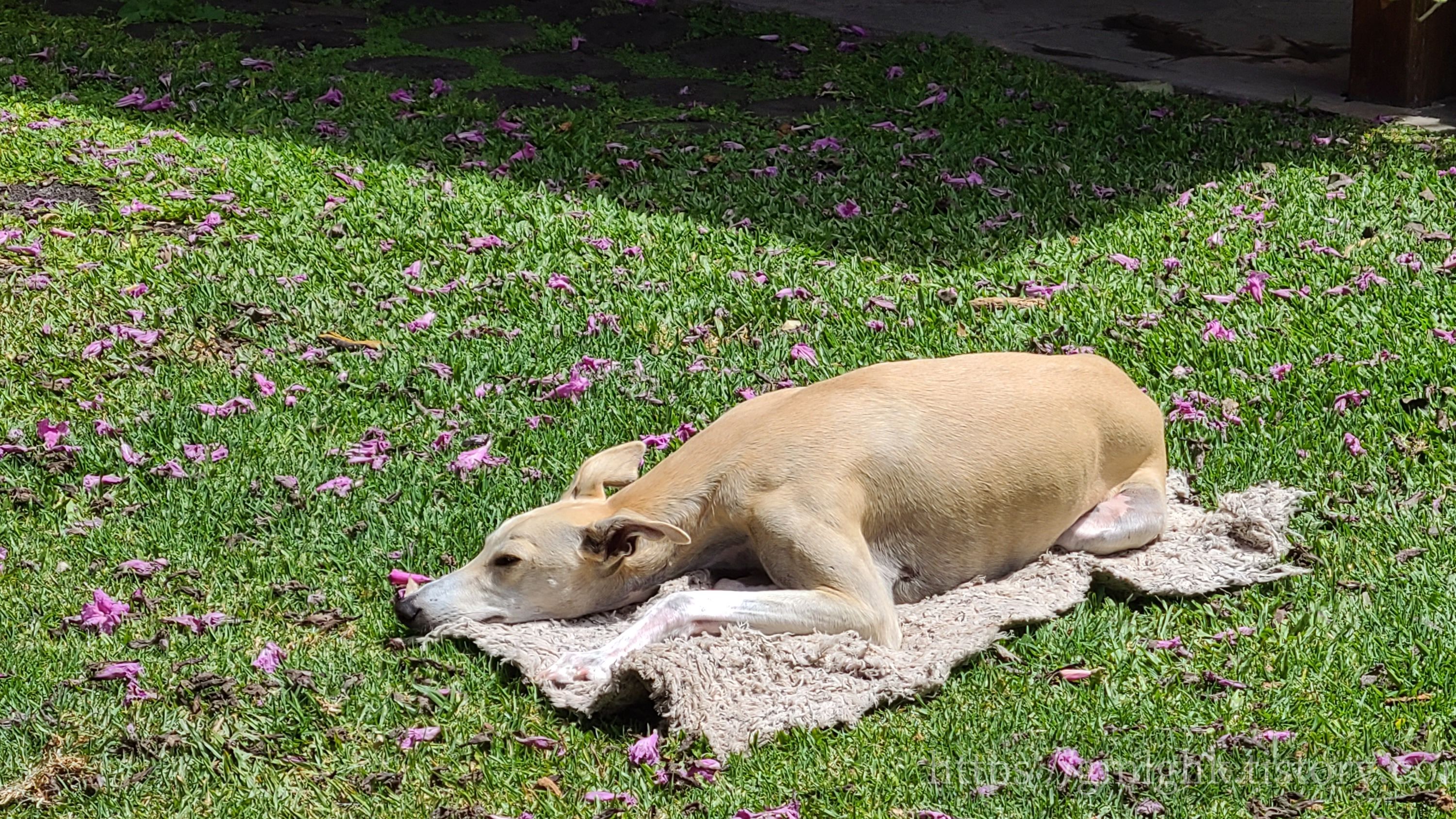 아르헨티나 날씨 10월 봄