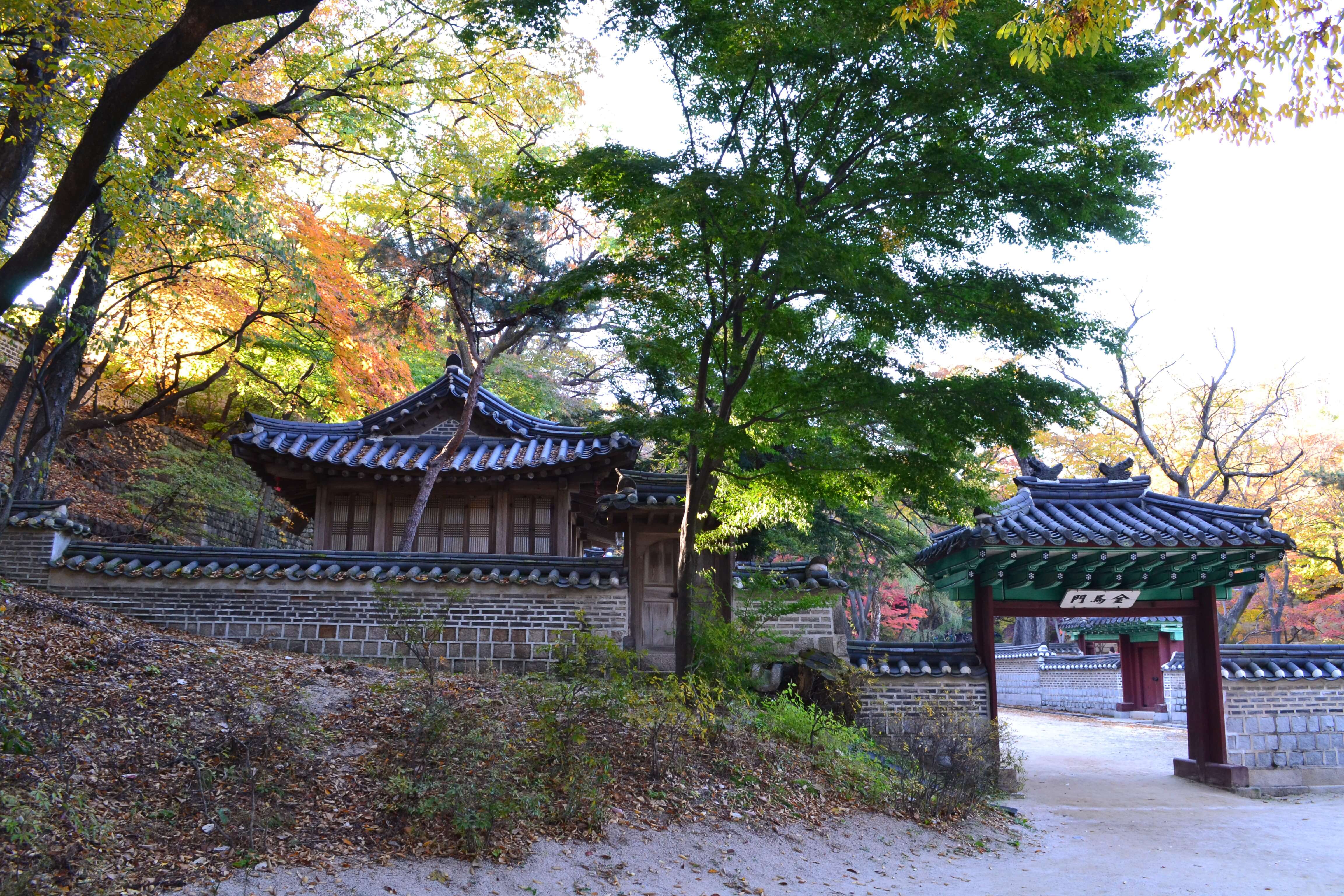창덕궁 후원