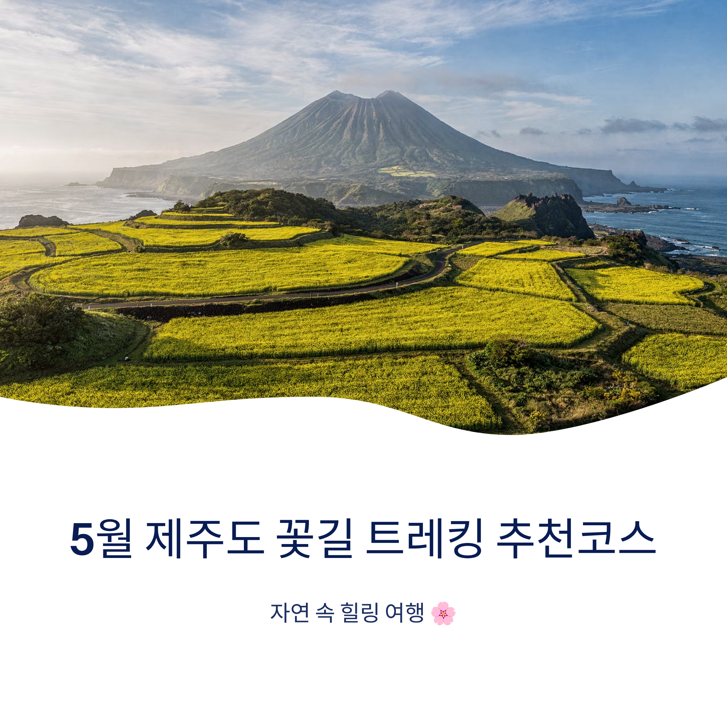 5월 제주도 꽃길 트레킹 추천코스, 자연 속 힐링 여행