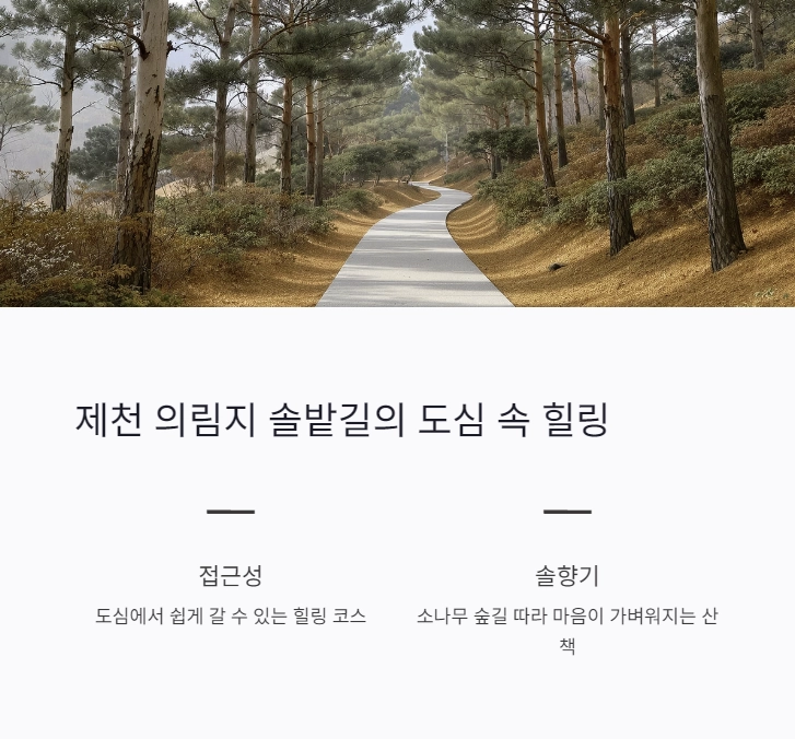 힐링 여행 추천지, 스트레스 해소 100% 되는 국내 명소 TOP7