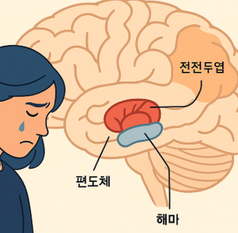 슬픔이 기억과 행동에 미치는 영향