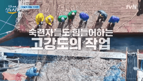 언니네 산지직송 멸치털이