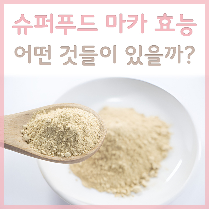 마카-분말