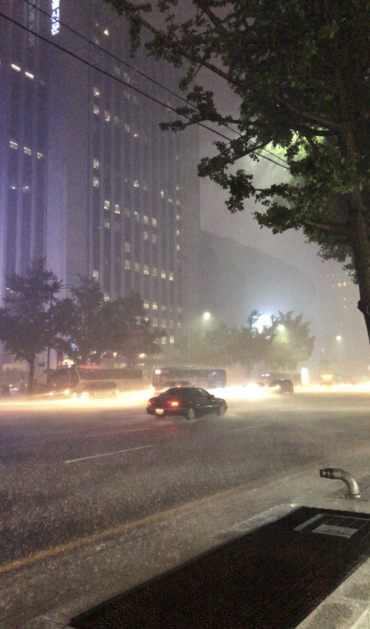 올해 장마철 기간